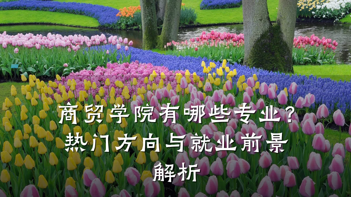 商贸学院有哪些专业?热门方向与就业前景解析