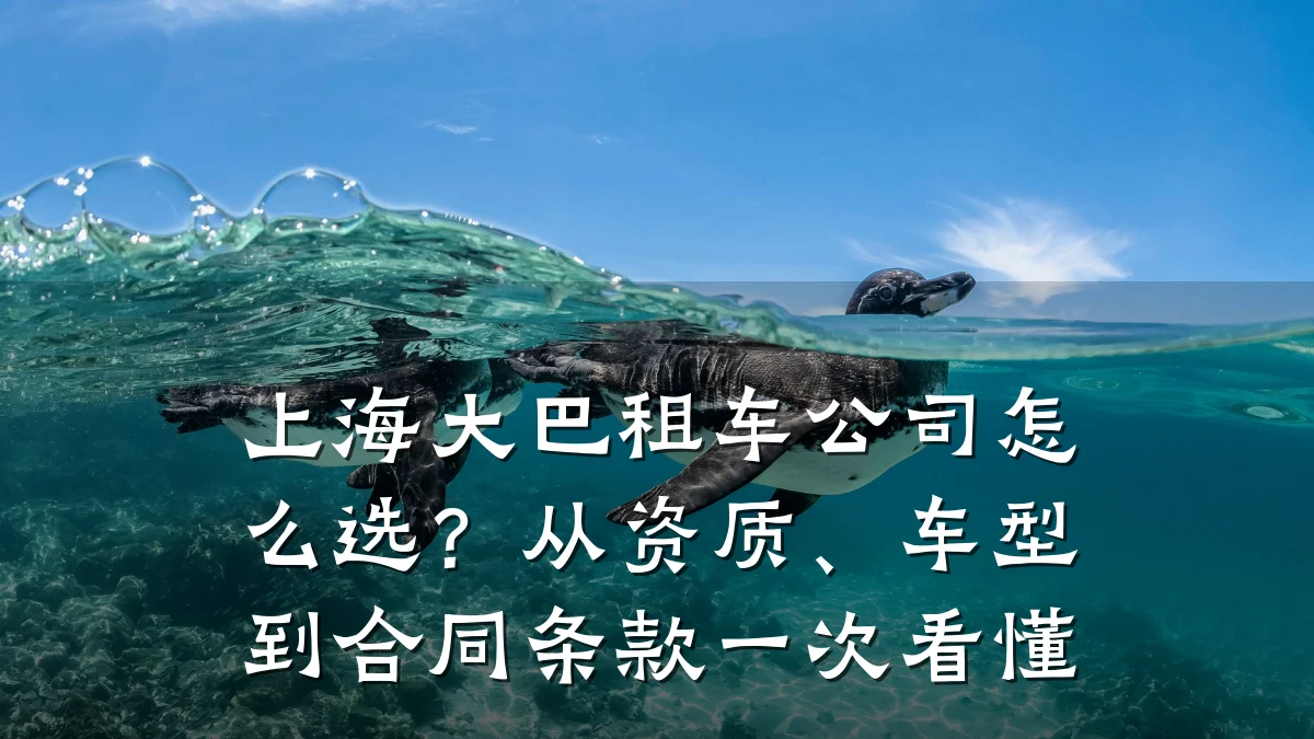 上海大巴租车公司怎么选?从资质、车型到合同条款一次看懂