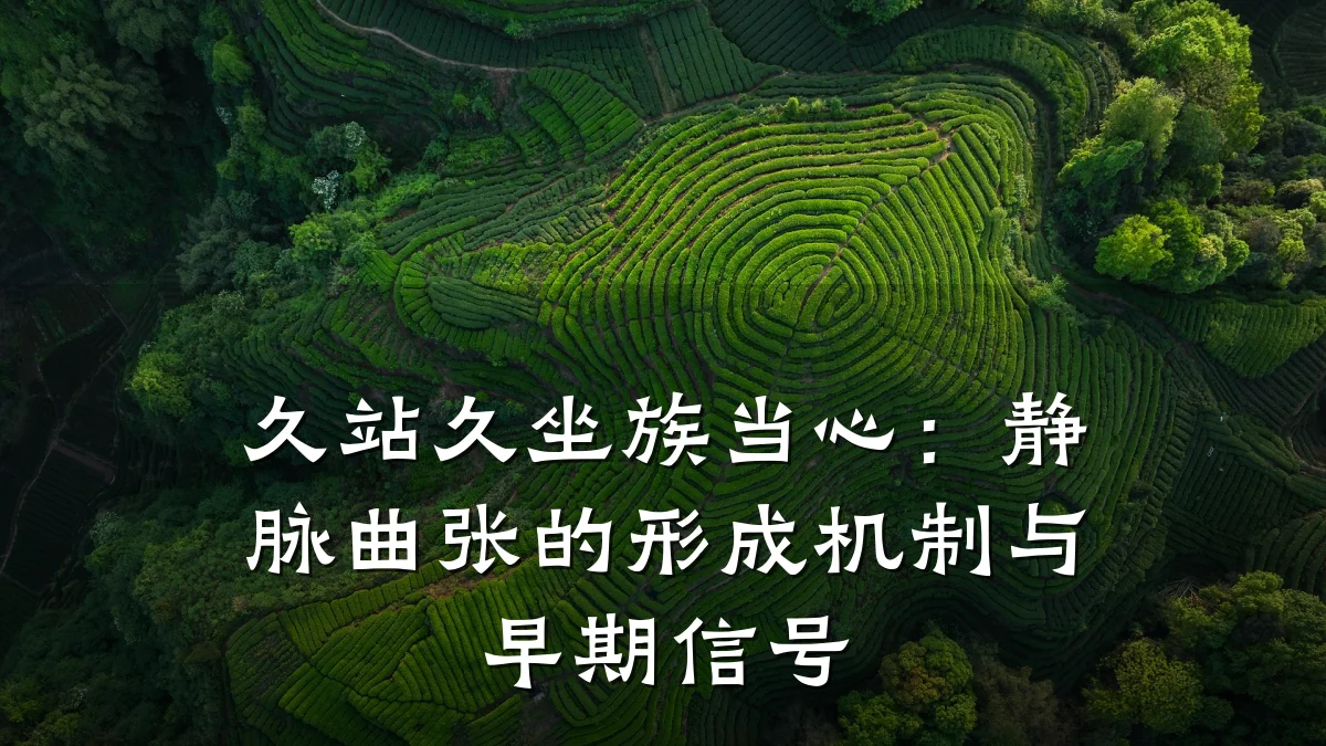久站久坐族当心:静脉曲张的形成机制与早期信号
