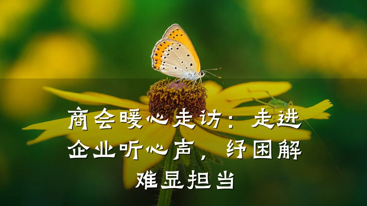 商会暖心走访:走进企业听心声,纾困解难显担当