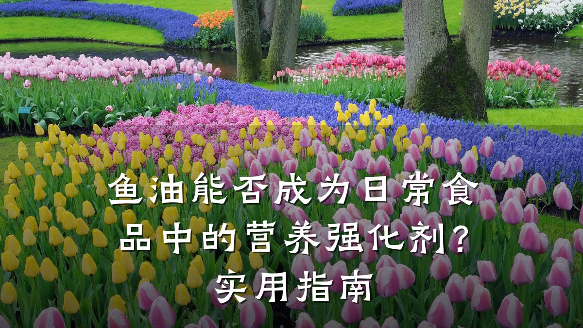 鱼油能否成为日常食品中的营养强化剂?实用指南