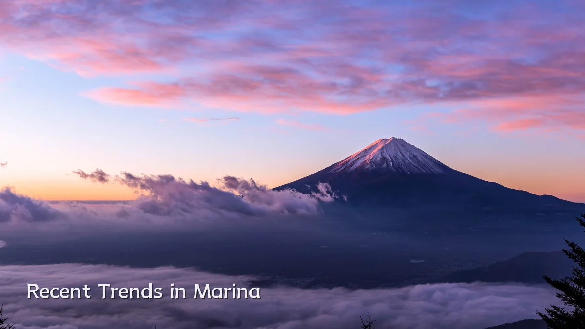 Recent Trends in Marina