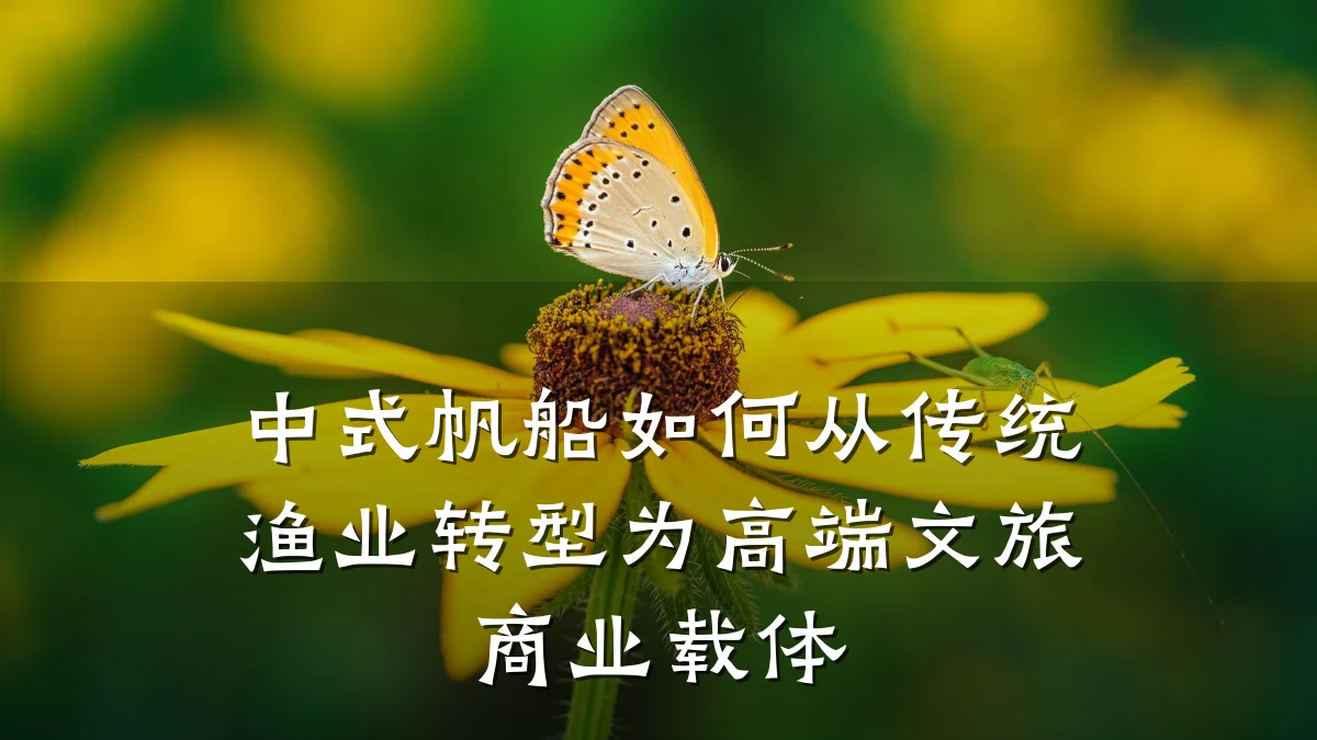 中式帆船如何从传统渔业转型为高端文旅商业载体
