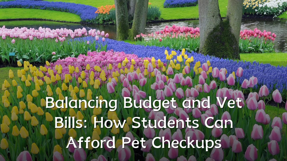 Balancing Budget and Vet Bills: How Students Can Afford Pet Checkups