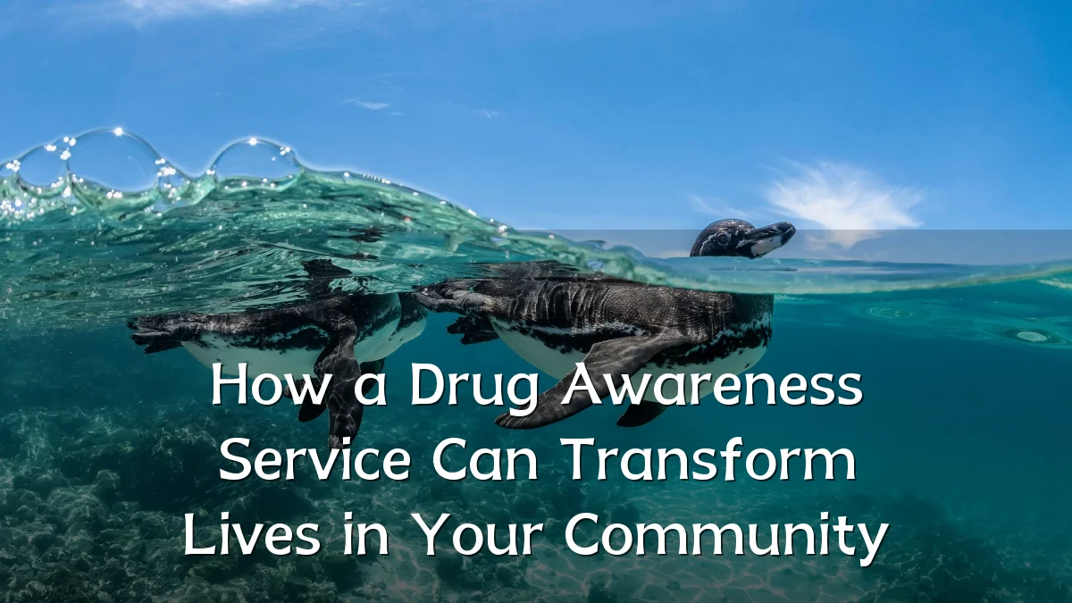 How a Drug Awareness Service Can Transform Lives in Your Community