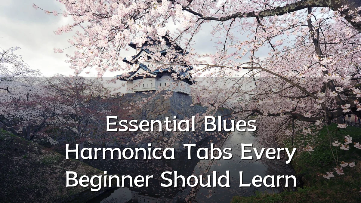 Essential Blues Harmonica Tabs Every Beginner Should Learn