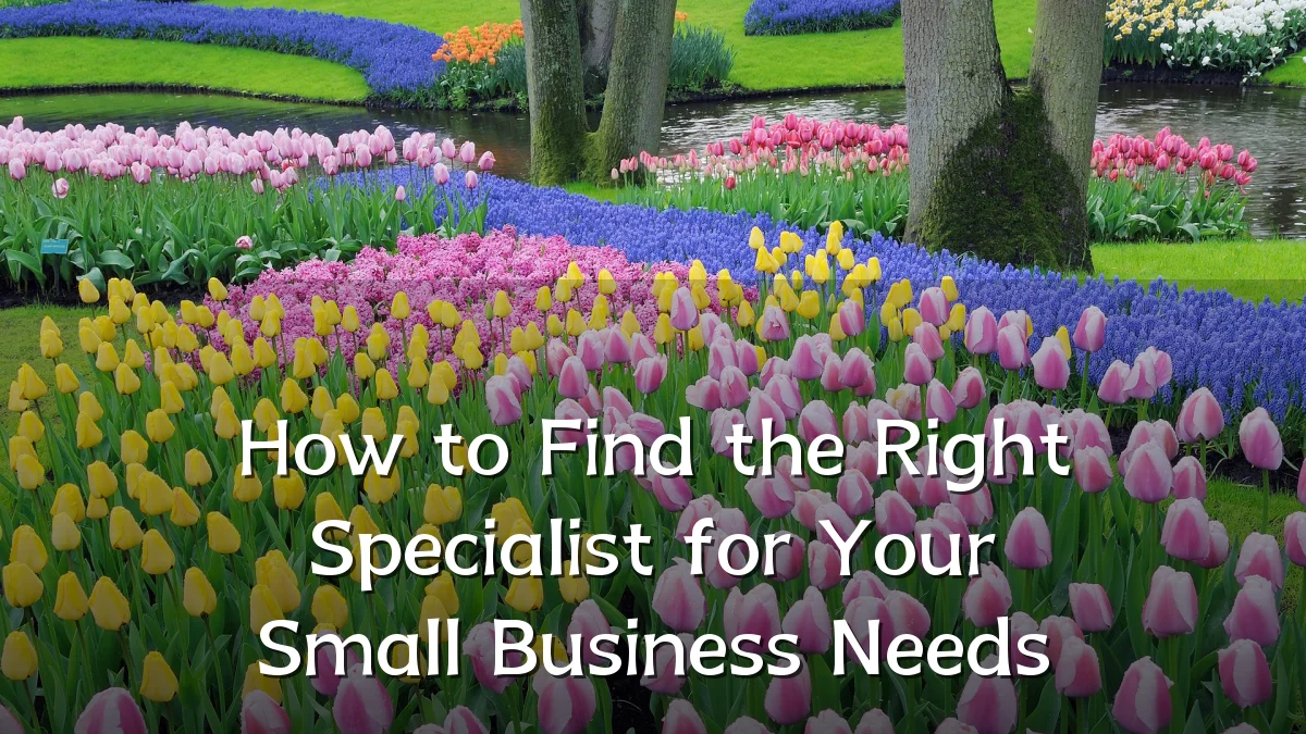 How to Find the Right Specialist for Your Small Business Needs