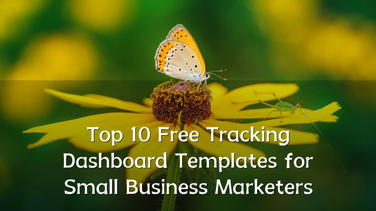 Top 10 Free Tracking Dashboard Templates for Small Business Marketers
