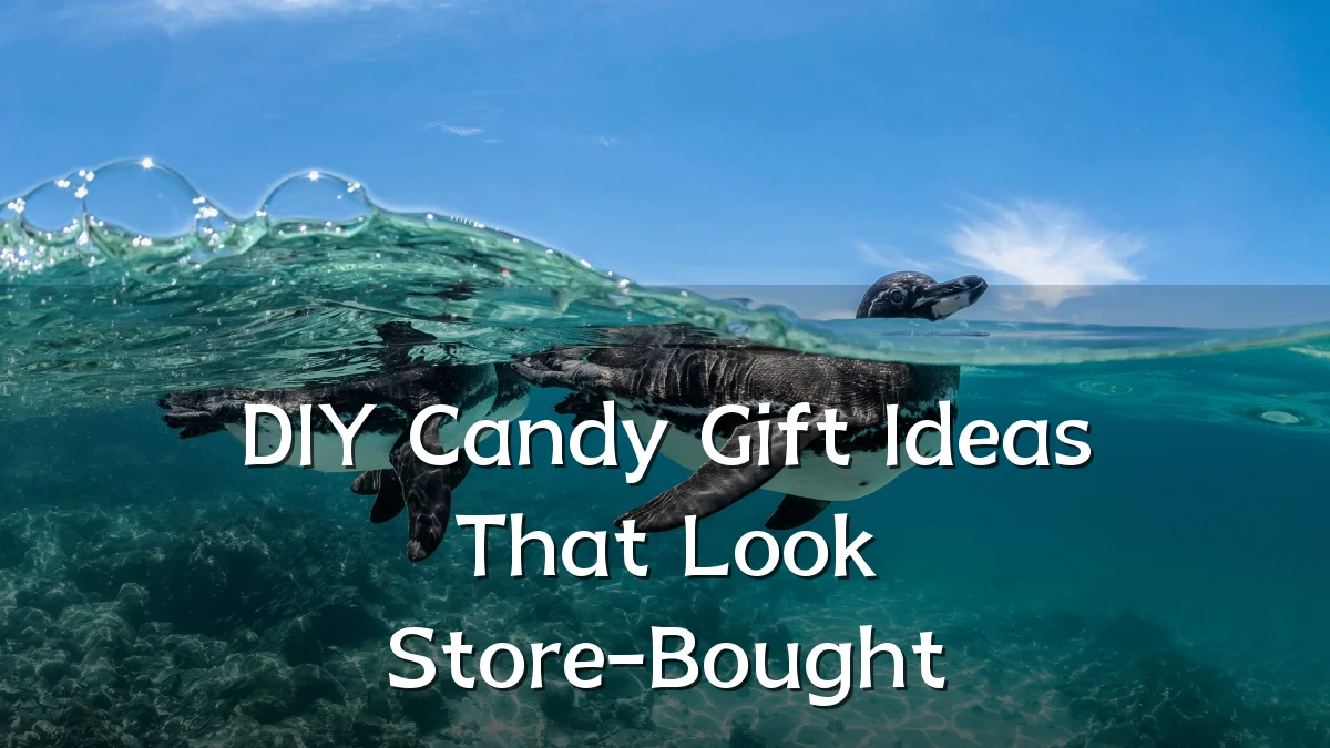 DIY Candy Gift Ideas That Look Store-Bought