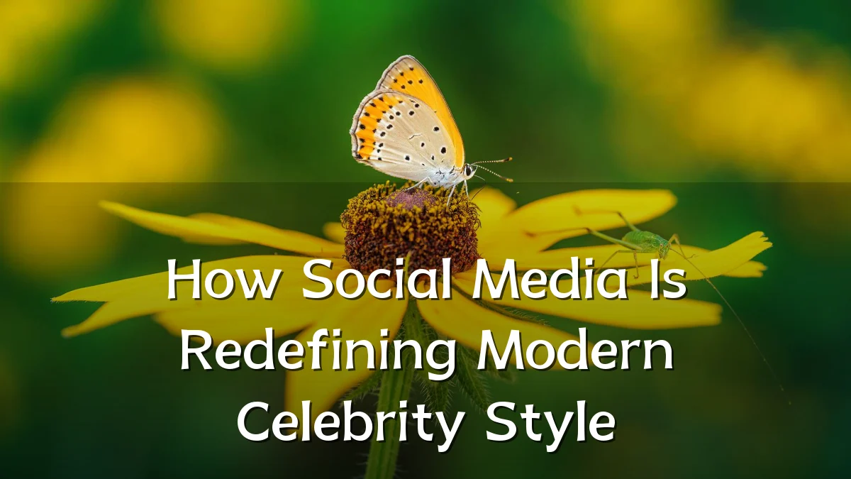 How Social Media Is Redefining Modern Celebrity Style