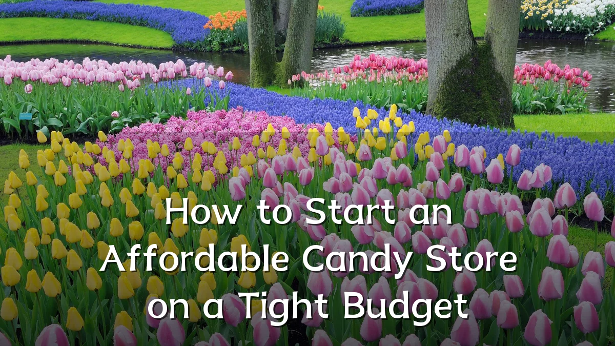 How to Start an Affordable Candy Store on a Tight Budget