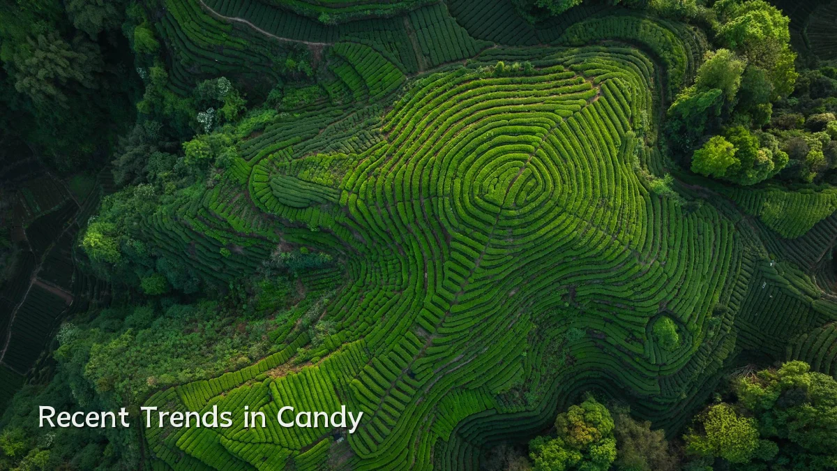 Recent Trends in Candy