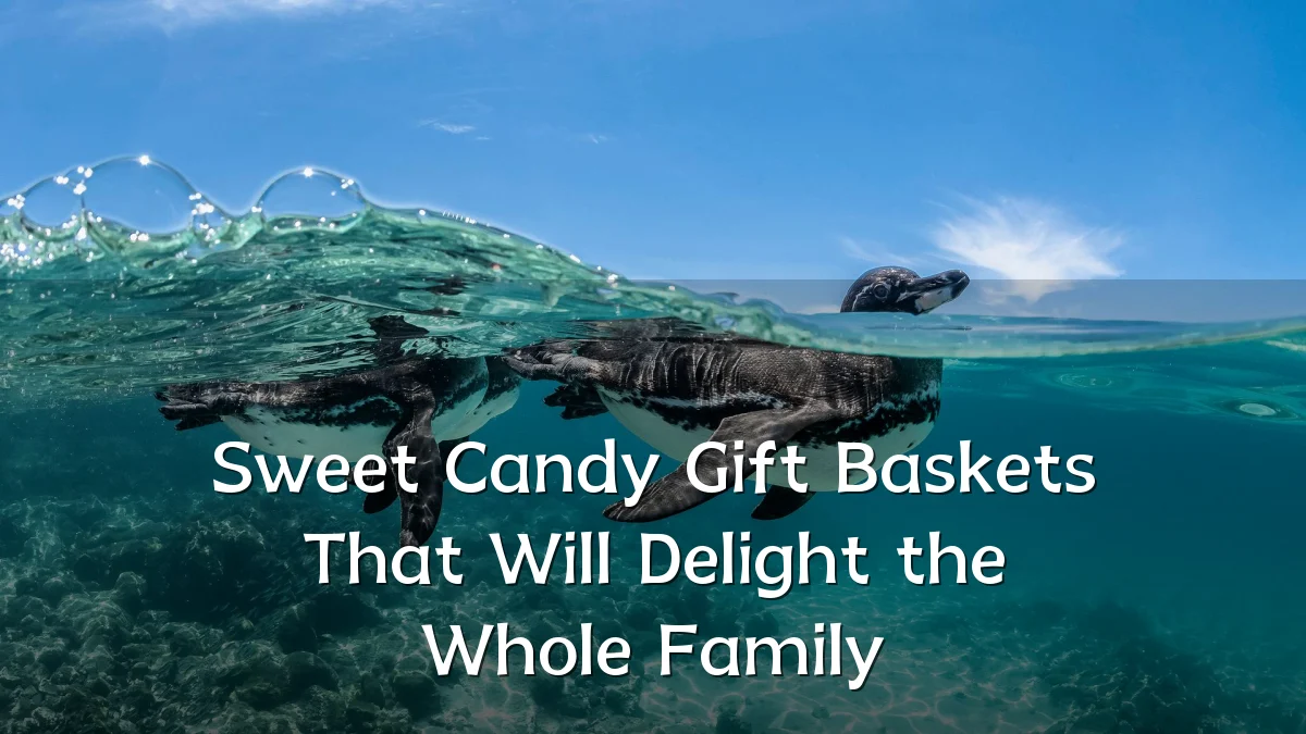 Sweet Candy Gift Baskets That Will Delight the Whole Family