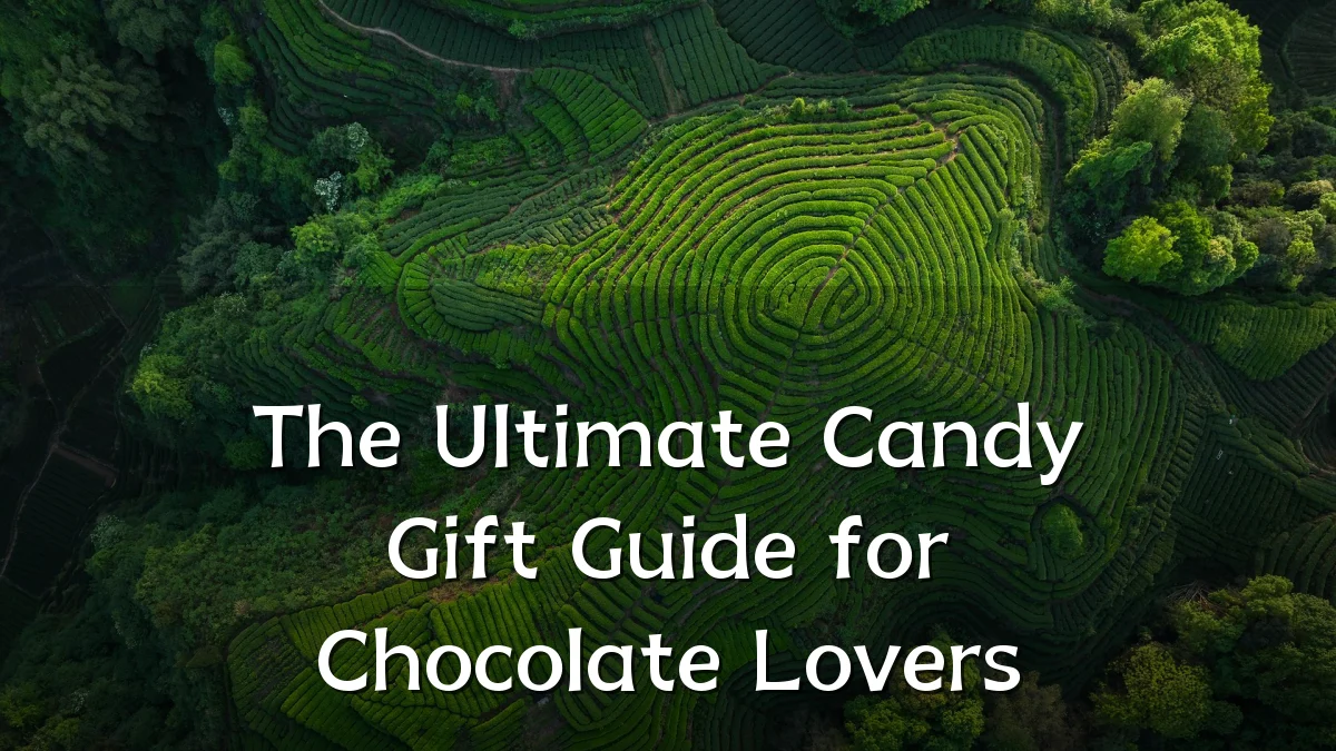 The Ultimate Candy Gift Guide for Chocolate Lovers