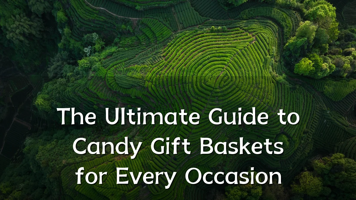 The Ultimate Guide to Candy Gift Baskets for Every Occasion