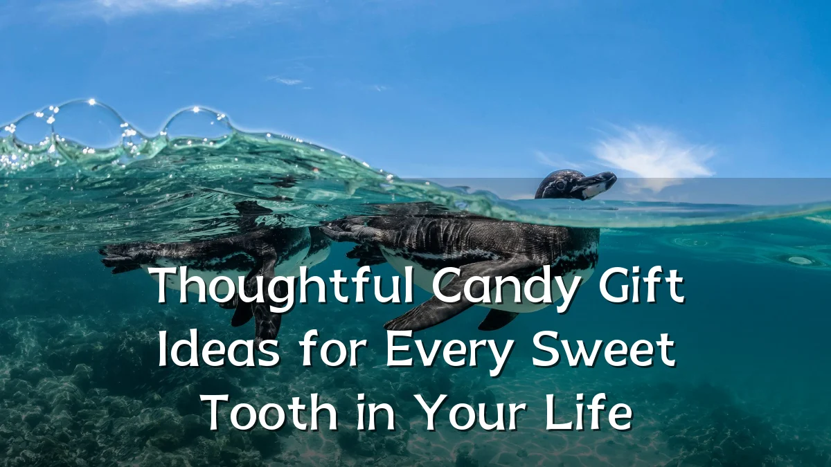 Thoughtful Candy Gift Ideas for Every Sweet Tooth in Your Life