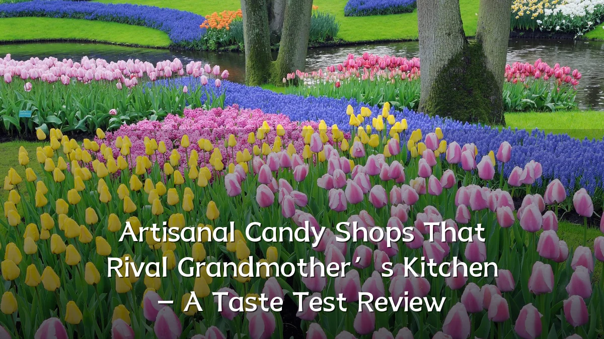 Artisanal Candy Shops That Rival Grandmother’s Kitchen – A Taste Test Review