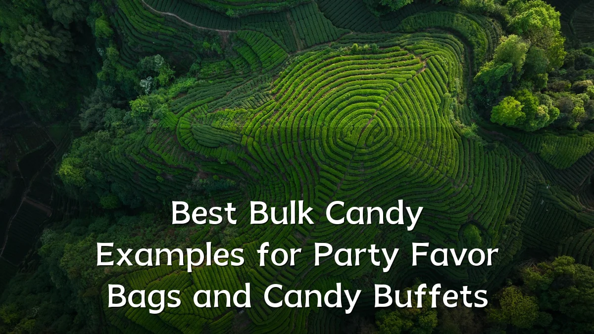 Best Bulk Candy Examples for Party Favor Bags and Candy Buffets