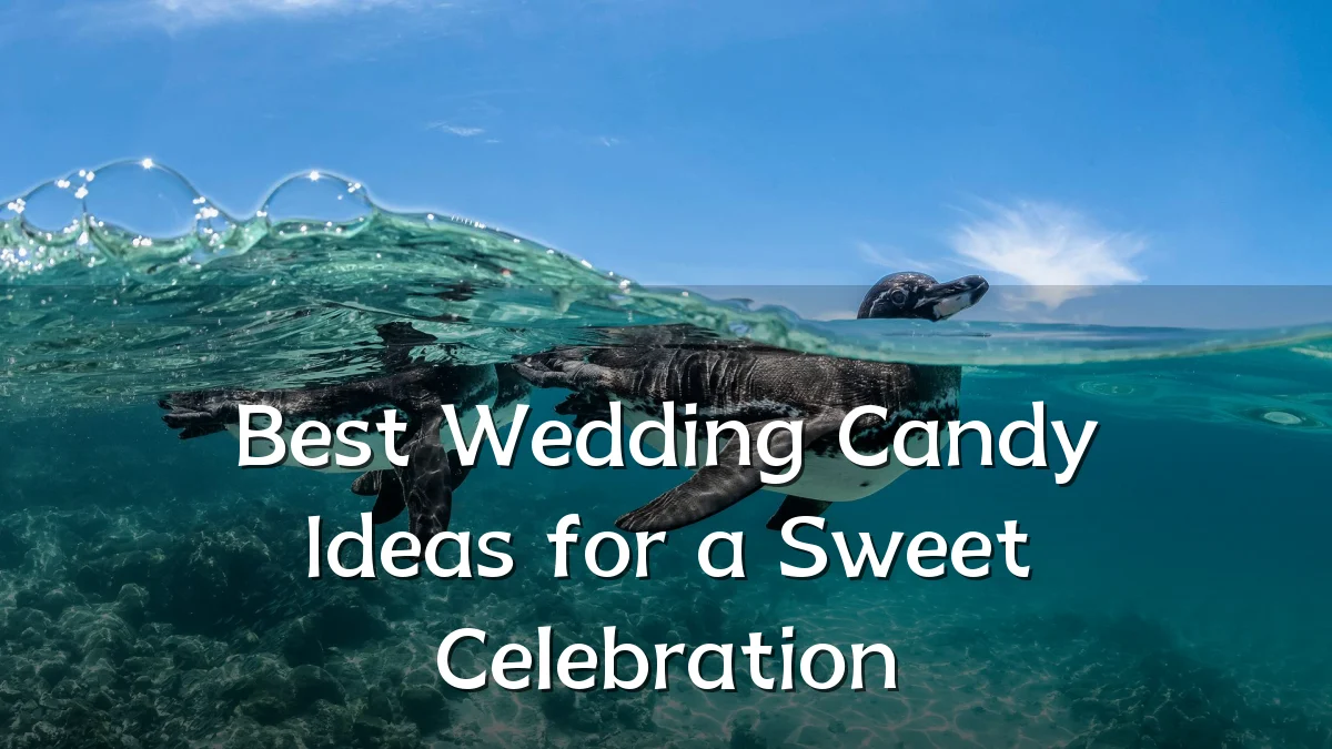Best Wedding Candy Ideas for a Sweet Celebration