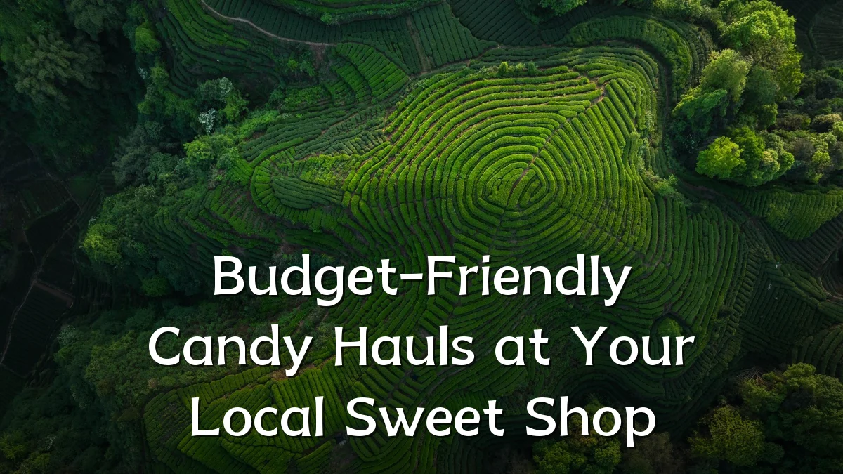 Budget-Friendly Candy Hauls at Your Local Sweet Shop