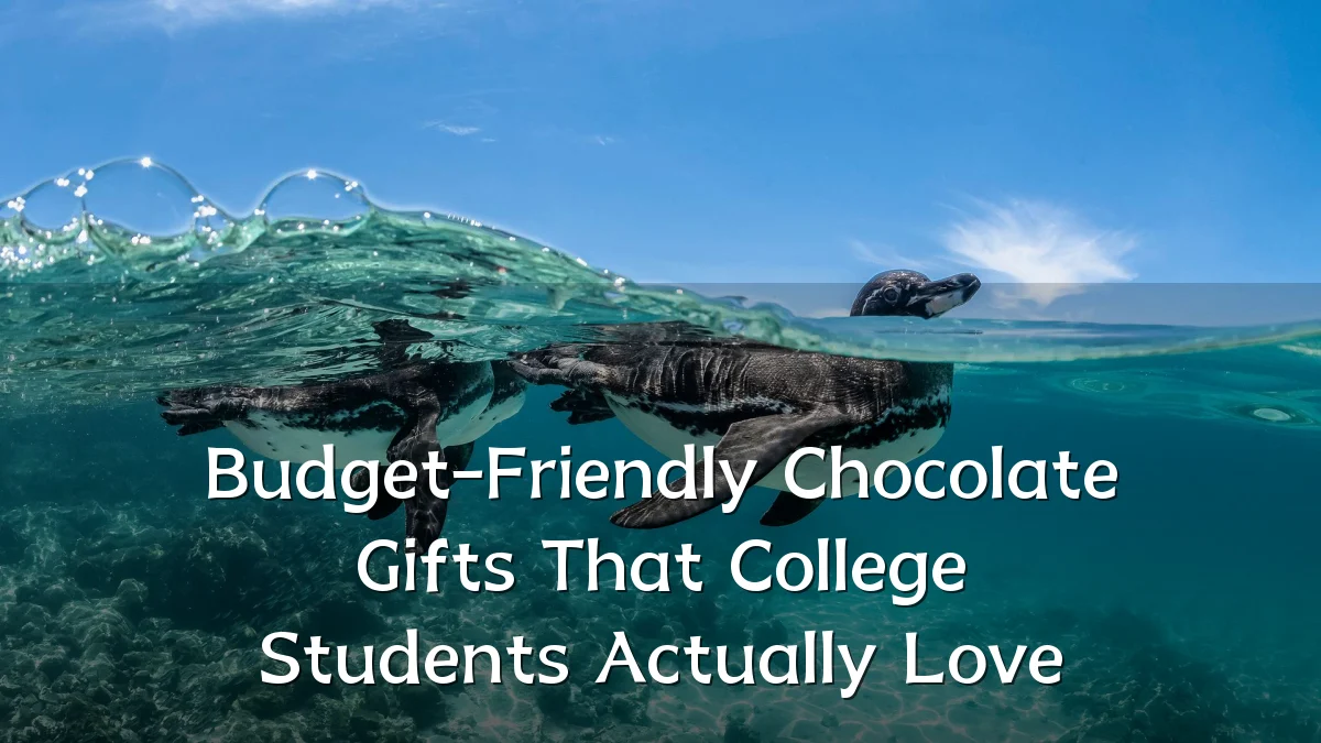 Budget-Friendly Chocolate Gifts That College Students Actually Love