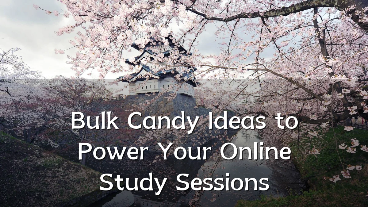 Bulk Candy Ideas to Power Your Online Study Sessions