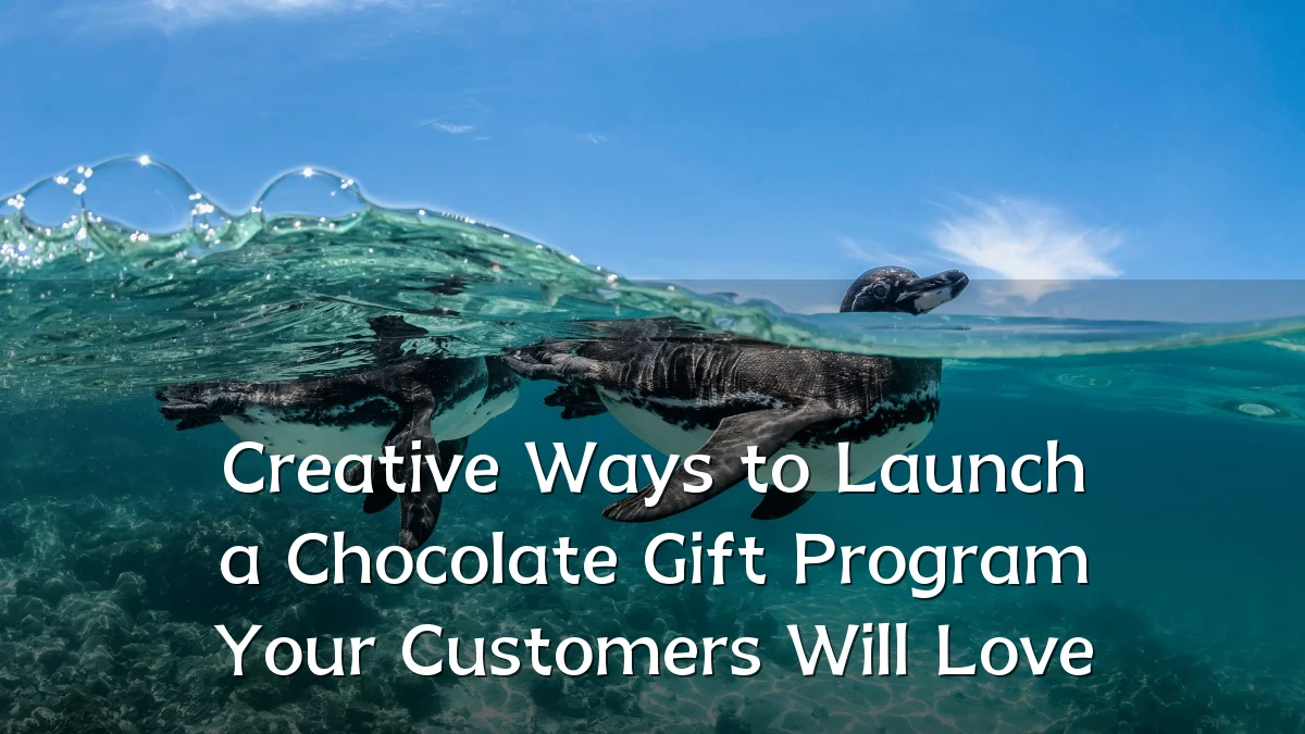 Creative Ways to Launch a Chocolate Gift Program Your Customers Will Love