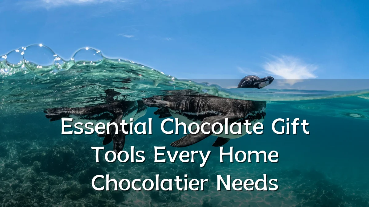 Essential Chocolate Gift Tools Every Home Chocolatier Needs