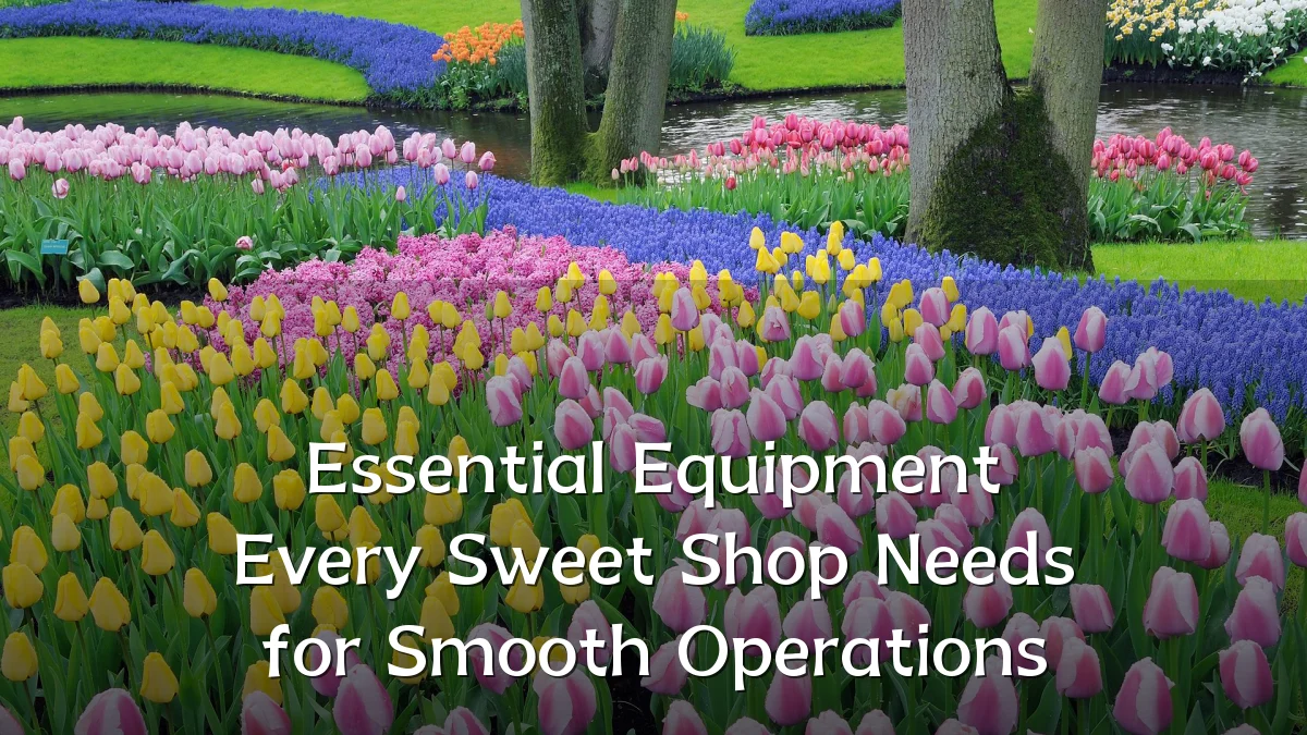Essential Equipment Every Sweet Shop Needs for Smooth Operations