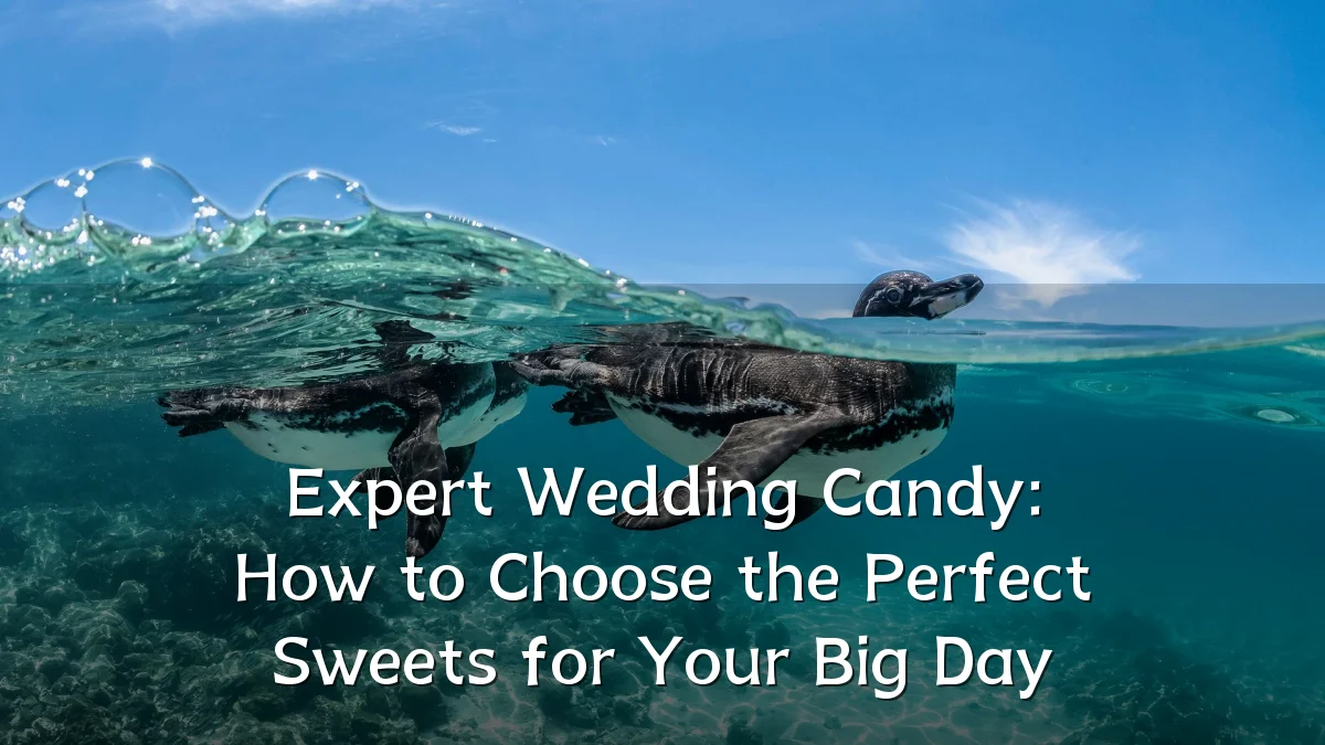 Expert Wedding Candy: How to Choose the Perfect Sweets for Your Big Day