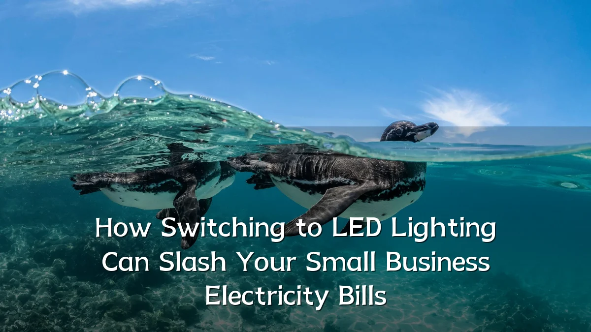How Switching to LED Lighting Can Slash Your Small Business Electricity Bills