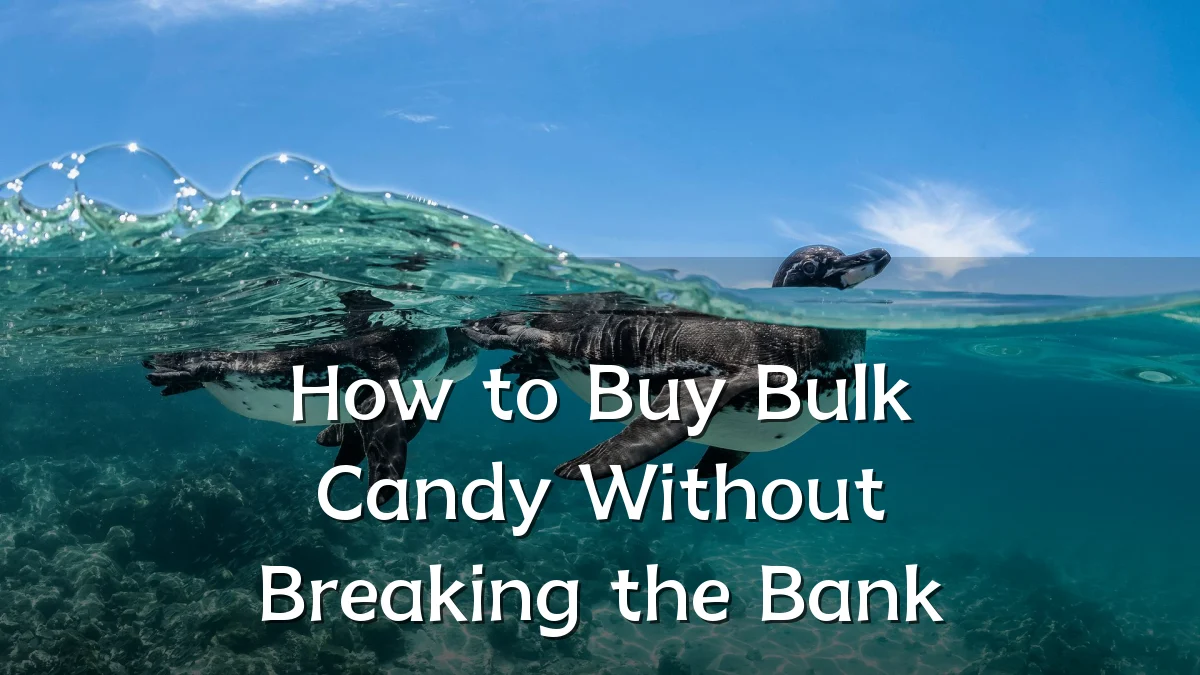 How to Buy Bulk Candy Without Breaking the Bank