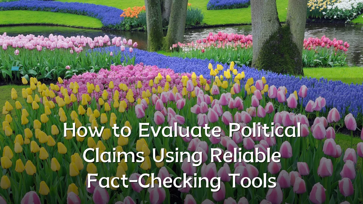 How to Evaluate Political Claims Using Reliable Fact-Checking Tools