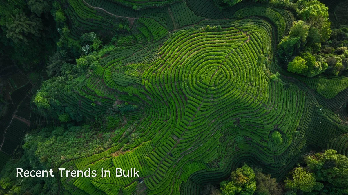 Recent Trends in Bulk
