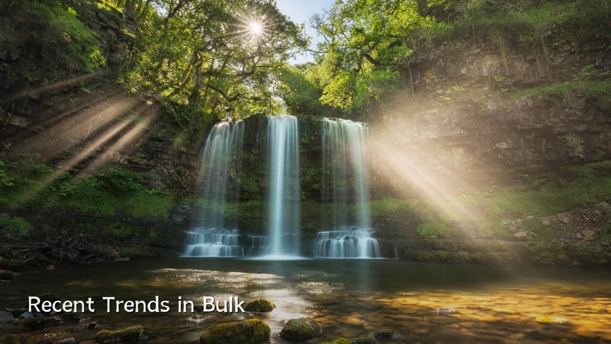 Recent Trends in Bulk