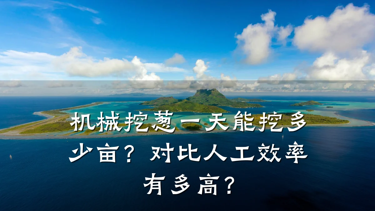 机械挖葱一天能挖多少亩?对比人工效率有多高?