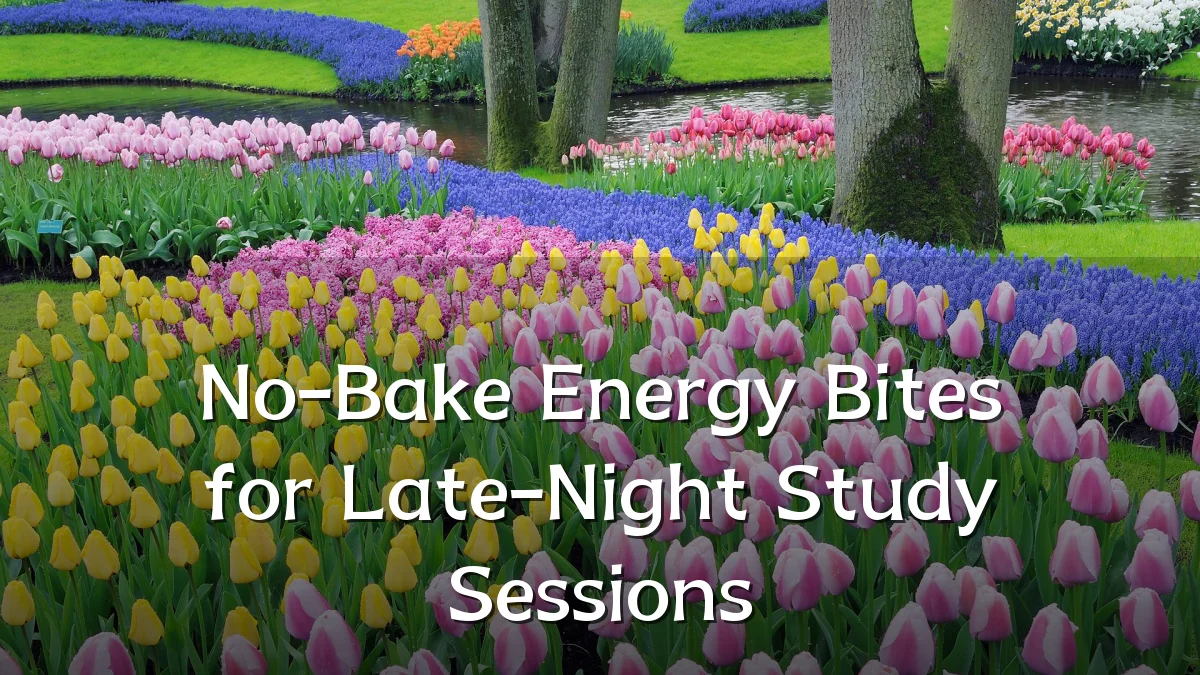 No-Bake Energy Bites for Late-Night Study Sessions