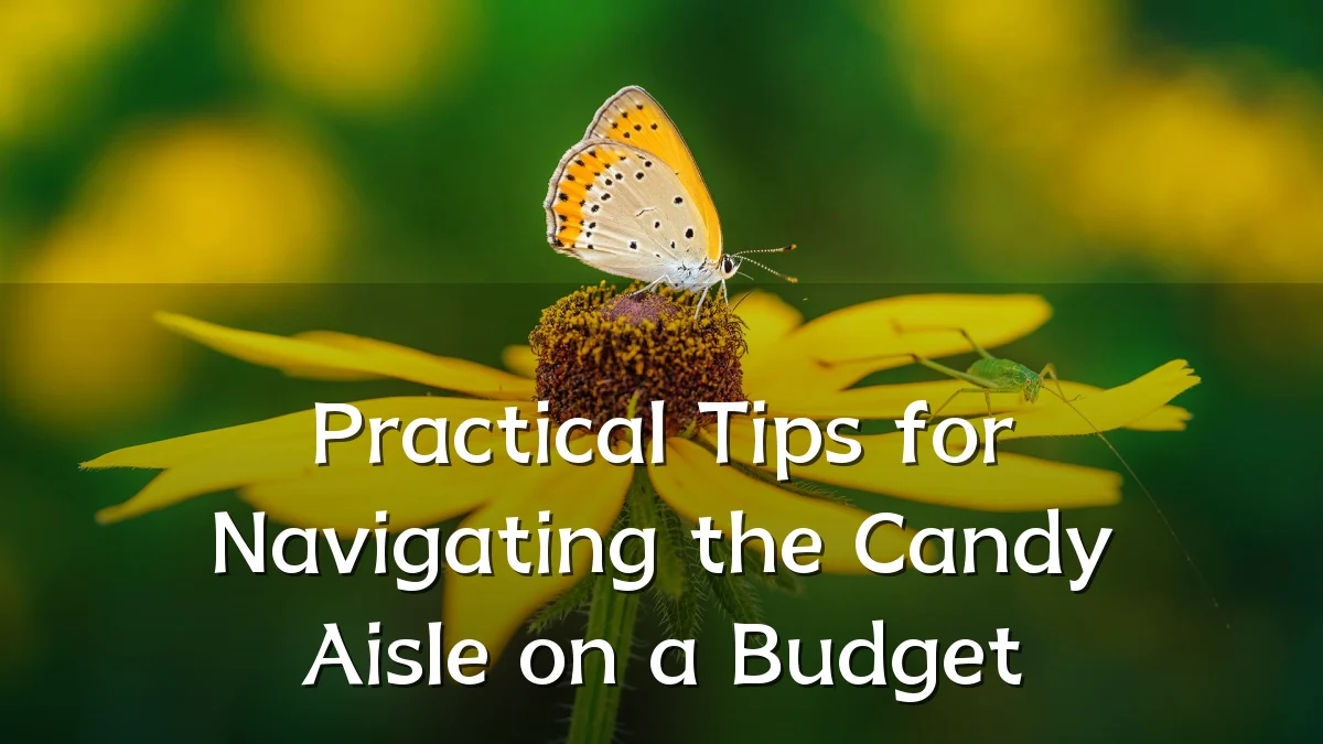 Practical Tips for Navigating the Candy Aisle on a Budget