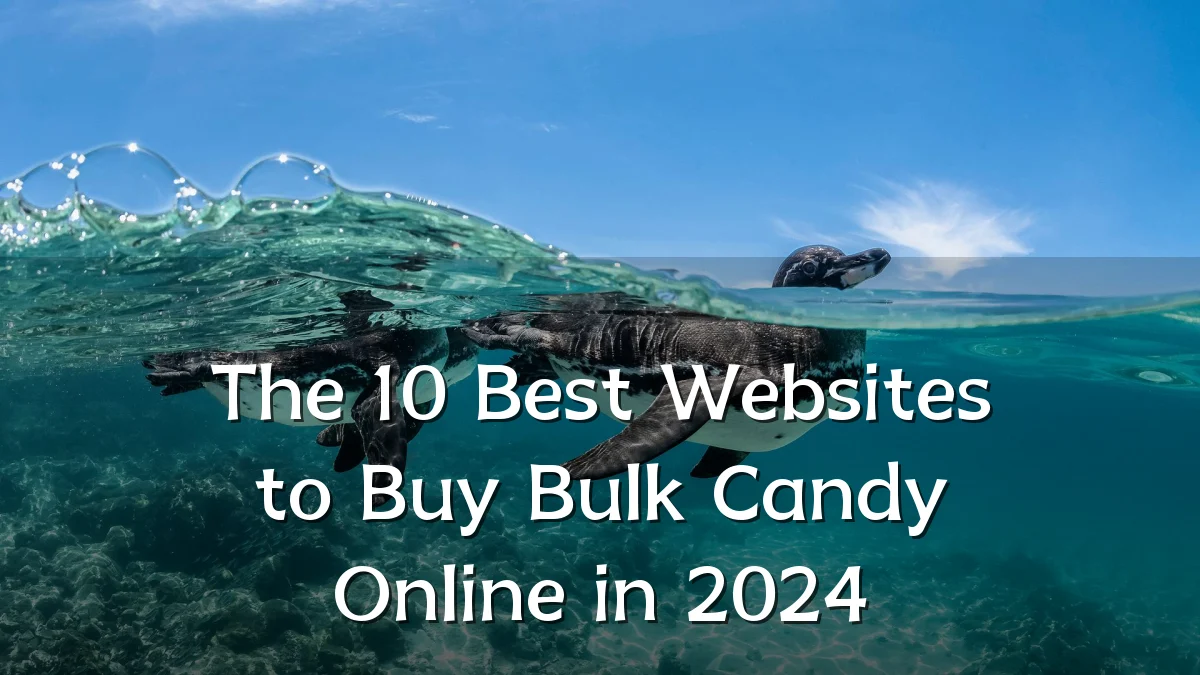 The 10 Best Websites to Buy Bulk Candy Online in 2024