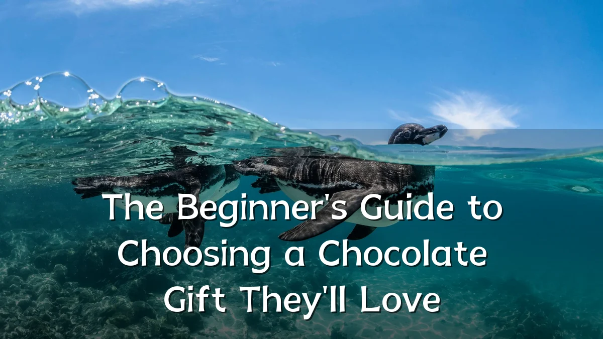 The Beginner's Guide to Choosing a Chocolate Gift They'll Love