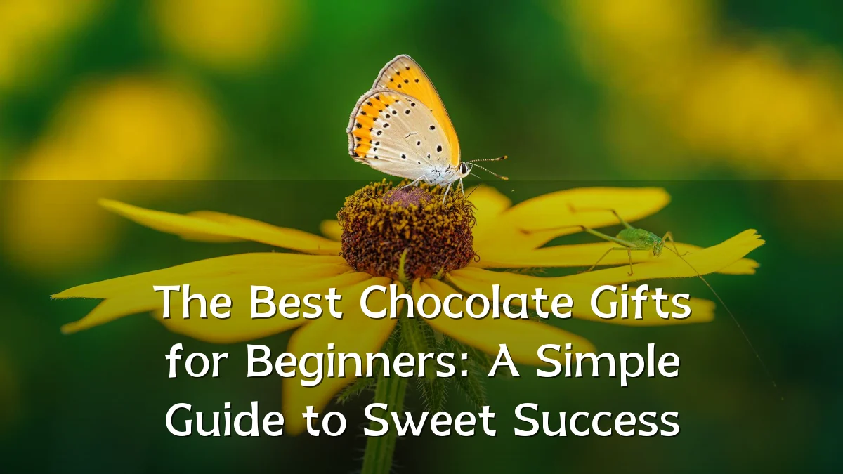 The Best Chocolate Gifts for Beginners: A Simple Guide to Sweet Success