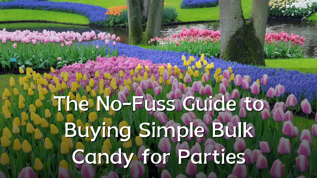 The No-Fuss Guide to Buying Simple Bulk Candy for Parties
