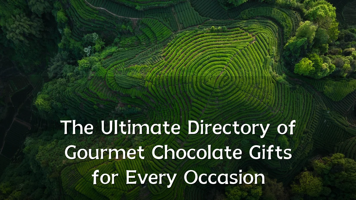 The Ultimate Directory of Gourmet Chocolate Gifts for Every Occasion