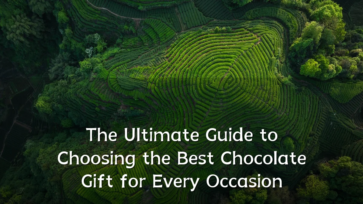 The Ultimate Guide to Choosing the Best Chocolate Gift for Every Occasion