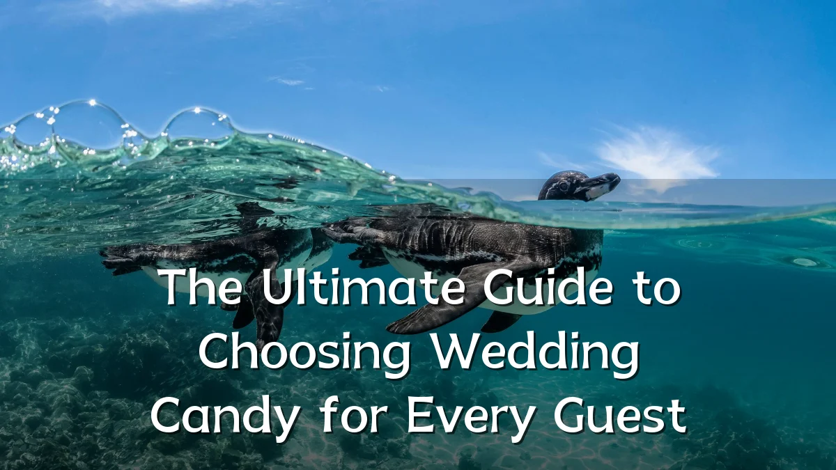 The Ultimate Guide to Choosing Wedding Candy for Every Guest