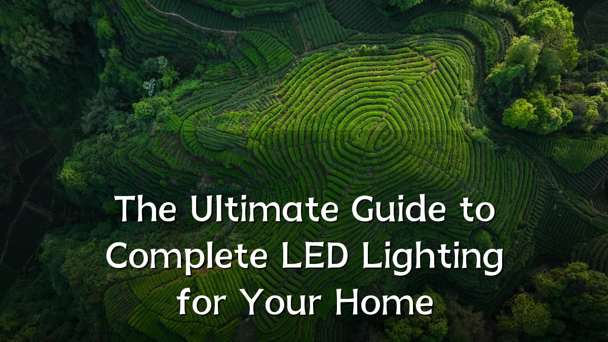 The Ultimate Guide to Complete LED Lighting for Your Home