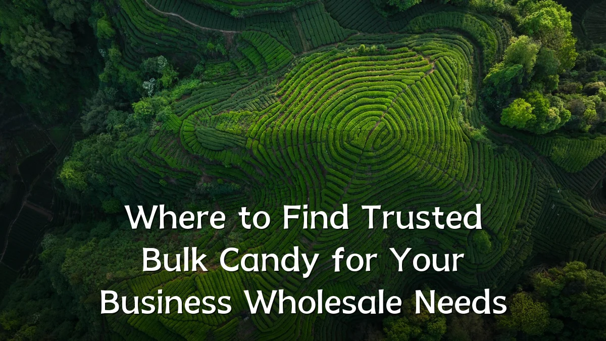 Where to Find Trusted Bulk Candy for Your Business Wholesale Needs