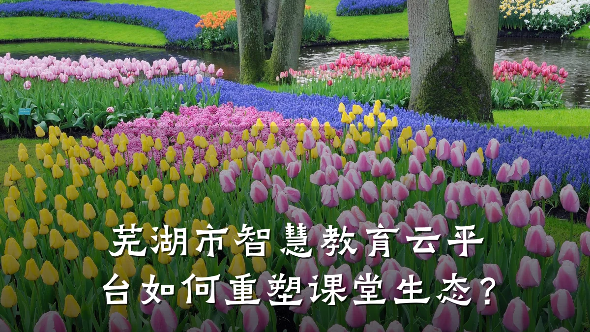 芜湖市智慧教育云平台如何重塑课堂生态?