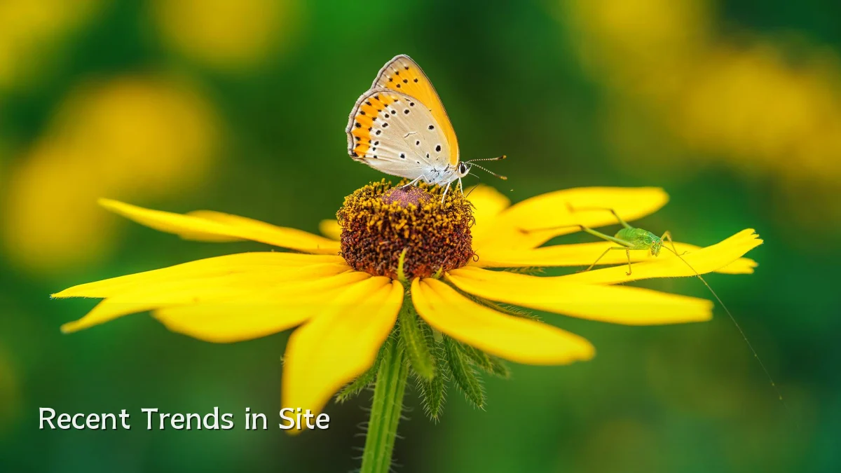 Recent Trends in Site