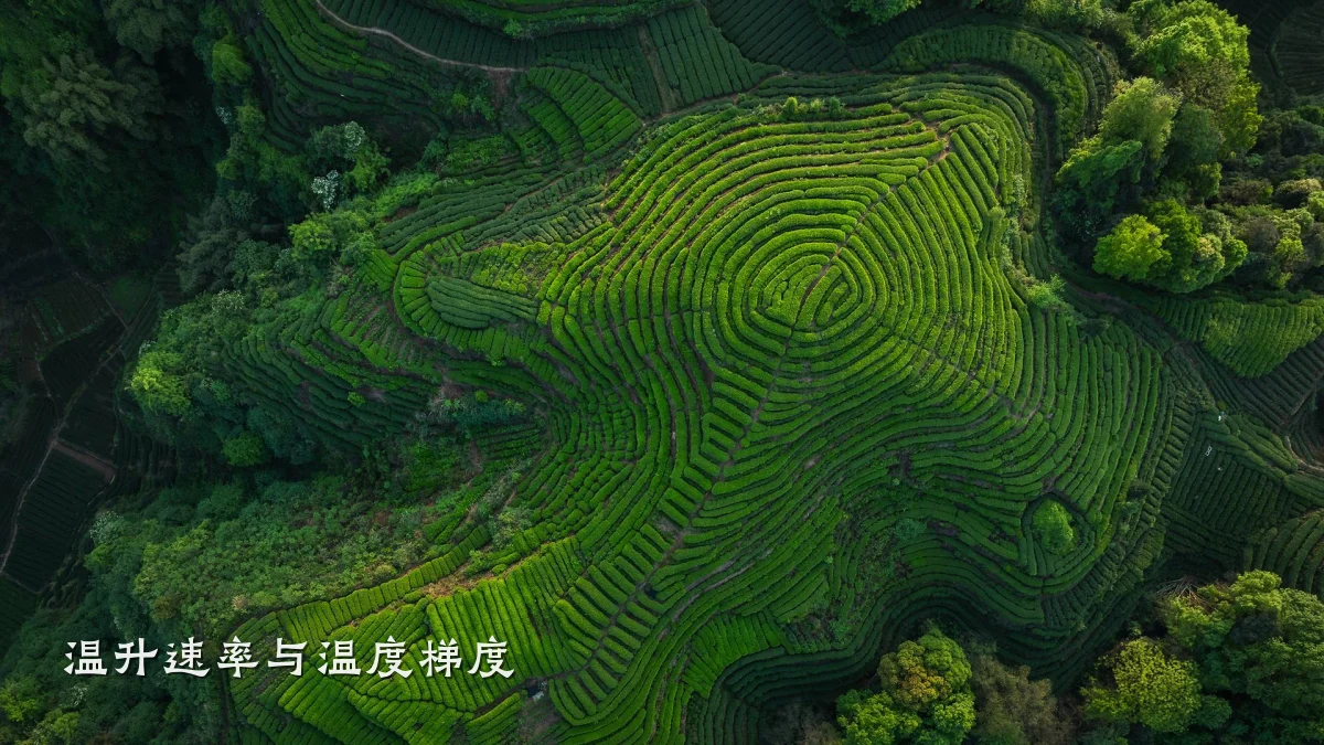 温升速率与温度梯度